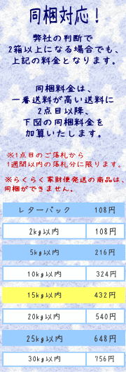 DIRWINGS 西濃運輸送料